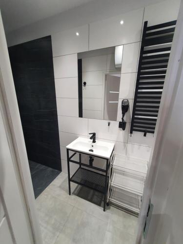 ein Bad mit einem Waschbecken und einem Spiegel in der Unterkunft Mirror Apartments in Oświęcim