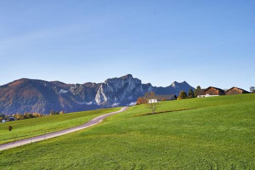 a grassy field with a road in the distance at Bergblick Acht Mondsee in Innerschwand am Mondsee