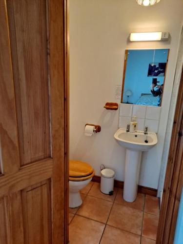a bathroom with a toilet and a sink at Lurig View B&B in Cushendall