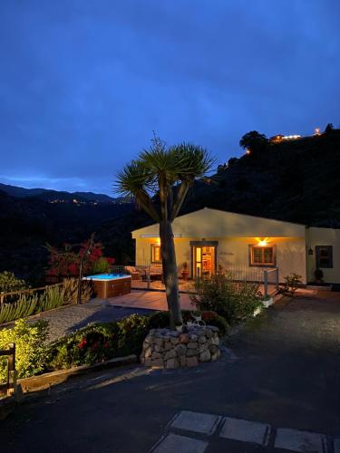 a palm tree in front of a house at night at La cara Luna in Santa Brígida