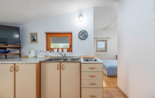 A kitchen or kitchenette at Apartments Stanisic