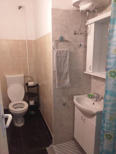 ein kleines Bad mit WC und Waschbecken in der Unterkunft Vikendica Iva in Perućac