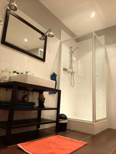 une salle de bain avec un lavabo et une douche avec un miroir dans l'établissement N¨°1 SCHONGAUER GITE DE CHARME CENTRE TOURISTIQUE COLMAR, à Colmar