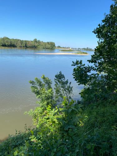 a view of a river with trees in the foreground at Logis du Lièvre d'or in Montbazon