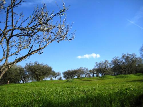 Villa Colle di Rocco – Photos 4