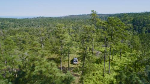 an aerial view of a tree house in the woods at Hidden Valley Wilderness Lodge in San Ignacio