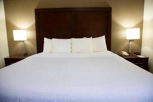 a bedroom with a large white bed with two lamps at Ardmore Inn & Suites Ardmore in Ardmore
