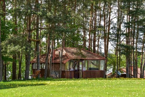 a small house in the middle of a field at Sodyba Pas Drambliuka in Svėdasai