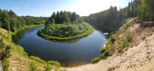an aerial view of a river with trees on the sides at Sodyba Pas Drambliuka in Svėdasai