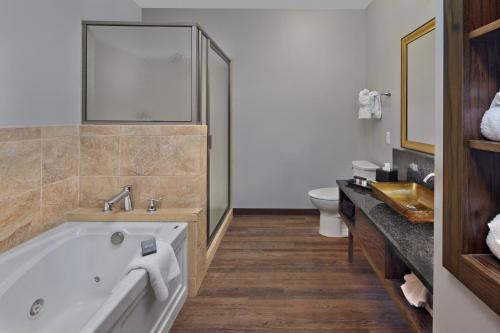 a bathroom with a tub and a sink and a toilet at Scholar Morgantown, Tapestry Collection by Hilton in Morgantown