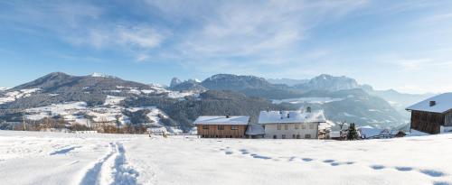 a snow covered mountain with houses and mountains in the background at Schweiggerhof -Agriturismo- Farm Holidays in Villandro