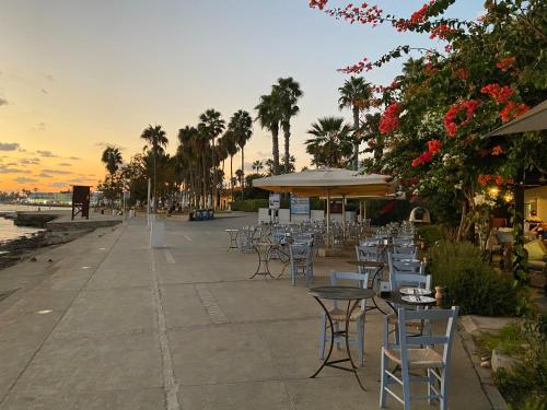 帕福斯Savveli by the sea的相册照片