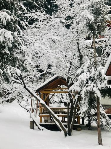 a wooden gazebo covered in snow next to trees at Вілла Лісова комфорт in Skhidnitsa