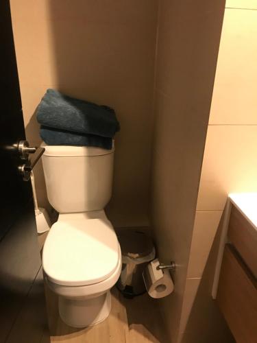 サンティアゴにある16 Costado, Clinica Las Condes, 5 Personasのバスルーム(白いトイレ、青いタオル付)