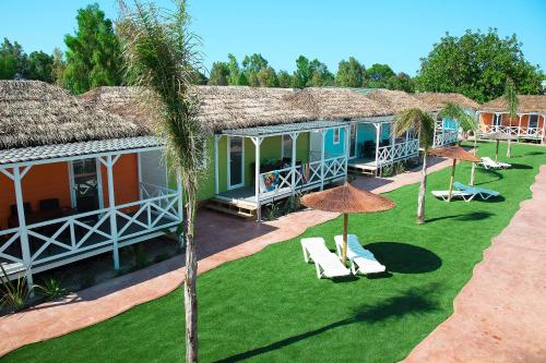 瓦倫西亞埃爾薩勒的住宿－Devesa Gardens，享有带椅子和遮阳伞的度假村的空中景致
