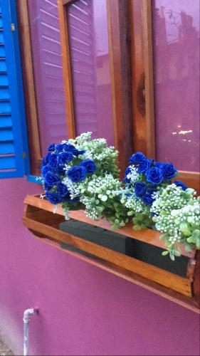 a bunch of blue flowers sitting on a window sill at Veranera Hostal in Manta