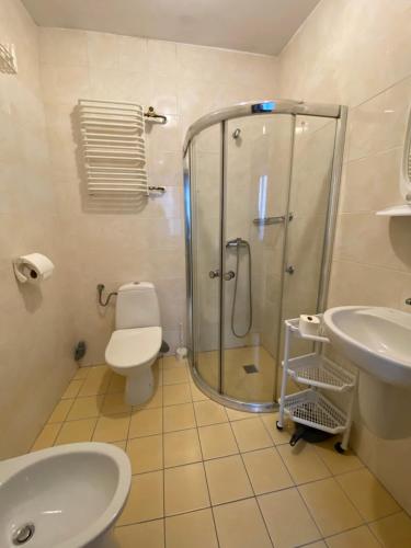 a bathroom with a shower and a toilet and a sink at OW DUET in Karpacz