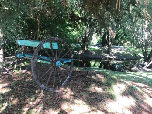 a wooden cart sitting in the grass next to a pond at Chacra La Escondida in Colonia del Sacramento