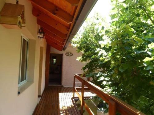 un pasillo de una casa con una gran planta verde en Lo de la Omi en Villa General Belgrano