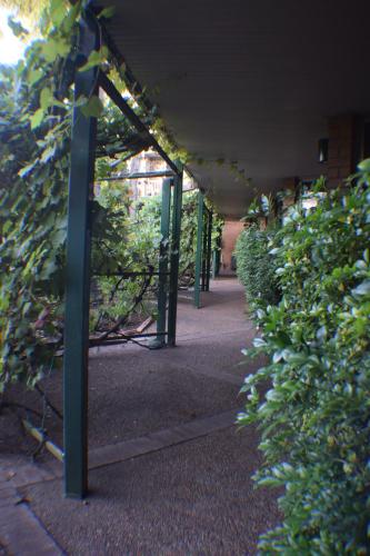 Un jardín fuera de John Hunter Motel Muswellbrook
