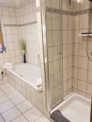 a bathroom with a bath tub and a shower at Apartment am Riegelberg in Oesdorf
