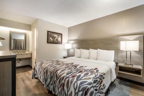 Кровать или кровати в номере Red Roof Inn Lansing West - MSU
