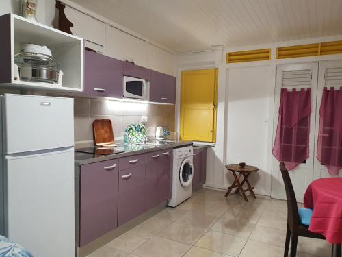 a kitchen with purple cabinets and a washing machine at Coquet deux pièces meublée, proche mer in Sainte-Anne