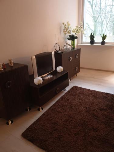 - un salon avec une télévision sur une table et un tapis dans l'établissement Apartament Hoża, à Szczecin