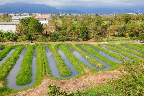Un paisaje natural cerca de la habitación en casa particular