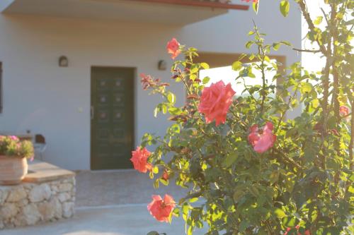 a bush with red flowers in front of a door at Villas Almyrida in Almirida