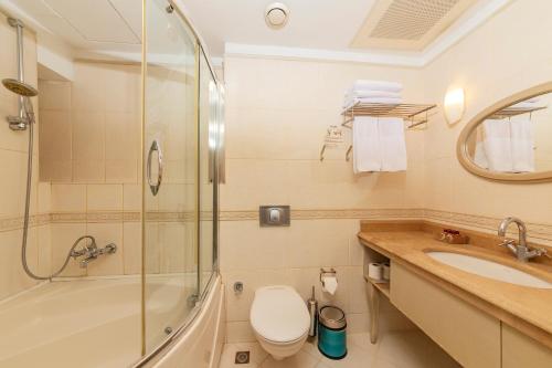 a bathroom with a toilet, sink, and shower at Faros Hotel Old City - Special Category in Istanbul