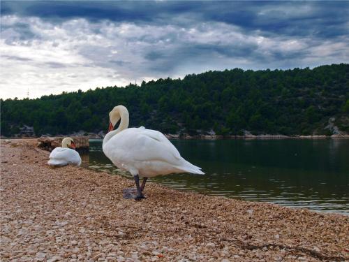 Φυσικό τοπίο κοντά σε αυτός ο ξενώνας