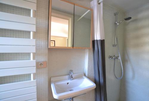 ein Bad mit einem Waschbecken und einem Spiegel in der Unterkunft Maison Montana in Brüssel