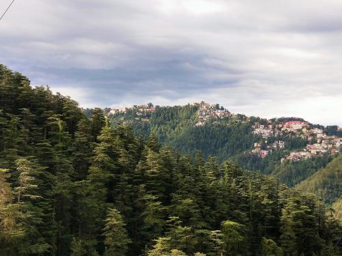 a mountain with houses on top of it at Neha Homestay in Shimla