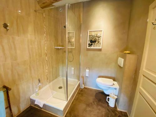 La salle de bains est pourvue d'une douche, de toilettes et d'une baignoire. dans l'établissement Le Fraysse, à Montdurausse