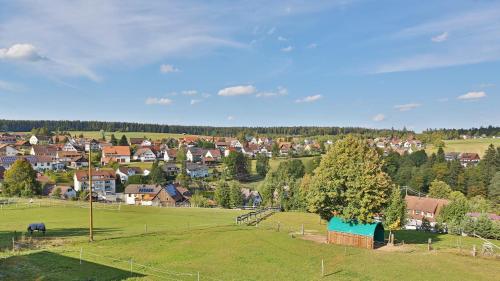 a green field with a town in the background at Landpension Pferdekoppel - B&B - Self Checkin in Seewald