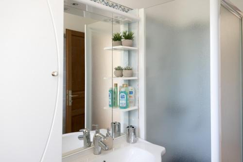 uma casa de banho com um lavatório e um espelho em La Flassantine - Appartement em Flassans-sur-Issole