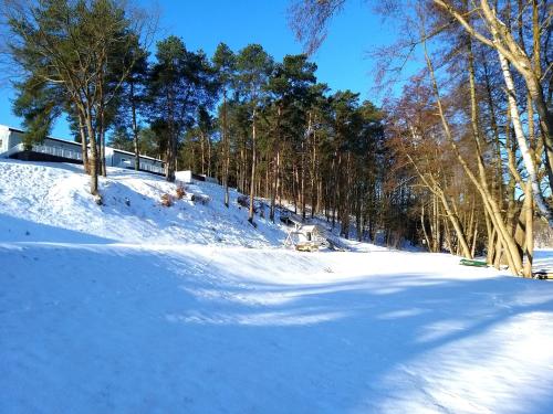 a snow covered park with trees and a hill at Przystań na Zagórzu - Apartamenty nad jeziorem in Drezdenko