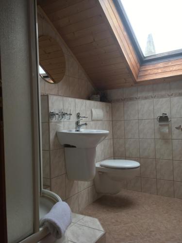 La salle de bains est pourvue d'un lavabo et de toilettes. dans l'établissement Penzion u Příhodů, à Jesenice