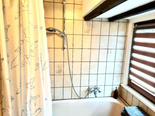 a shower in a tiled bathroom with a tub at Lenzenhof anno 1720 II in Schotten