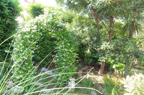 ogród z roślinami i drzewami i fontanną wodną w obiekcie Maison Prades Chambre d'Hôtes w mieście Prades