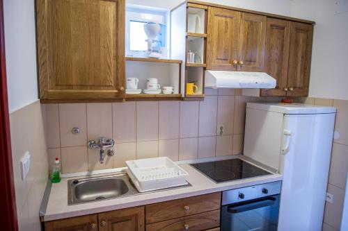 ロゴズニッツァにあるApartments Škarpa 1601のシンクと冷蔵庫のある小さなキッチン