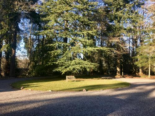 un banco del parque sentado en el césped cerca de una carretera en Drumdevan Country House, Inverness, en Inverness