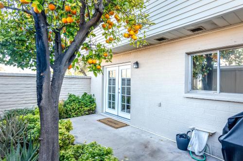 an orange tree in front of a house at Desert Sunset in Scottsdale