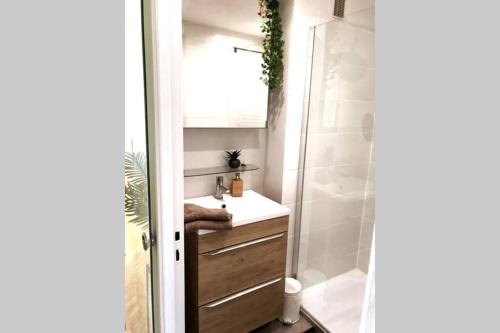 une salle de bain avec un lavabo et une douche dans l'établissement Terrasse plein sud, deux chambres doubles, à Antibes