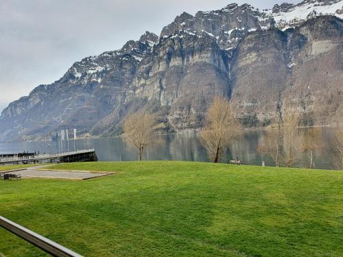 a grassy field in front of a mountain at Walensee House & Apartments in Unterterzen