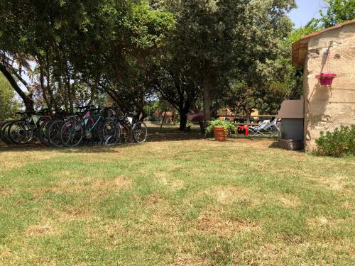 a group of bikes parked next to a building at La Nana Gialla in Riotorto