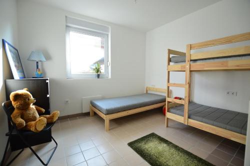1 dormitorio con litera y osito de peluche en Zöldház magánszállás, en Szentendre