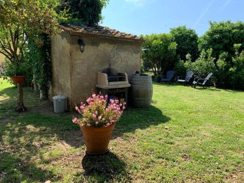 a backyard with a barbecue and a pot with flowers at La Nana Gialla in Riotorto
