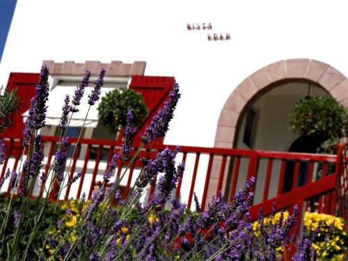 比達爾的住宿－麥遜比斯塔埃德爾酒店， ⁇ 前的一束紫色花